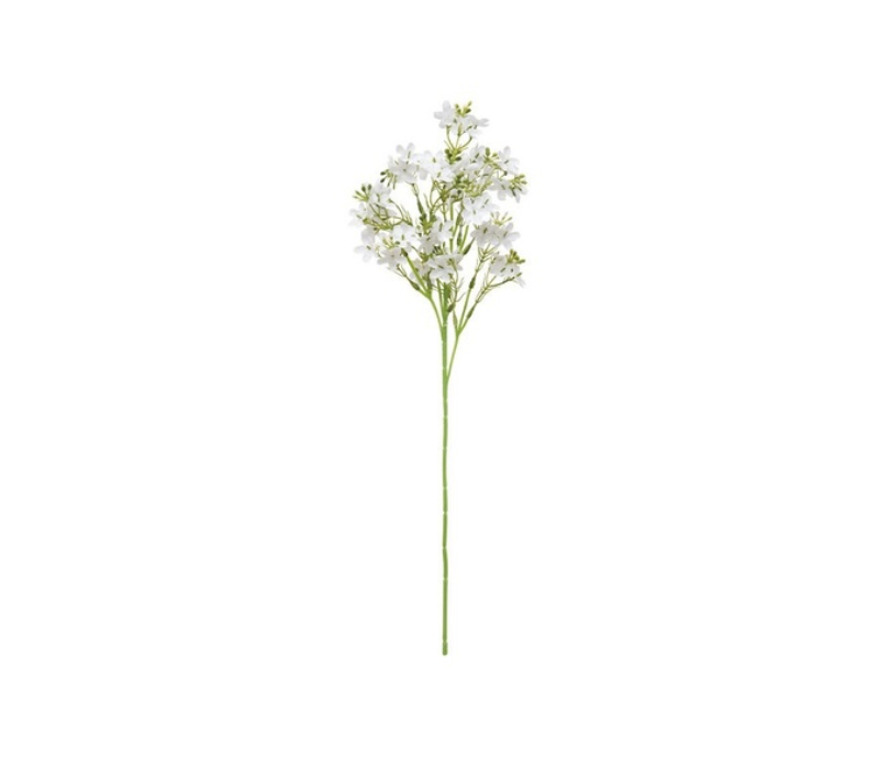 Gypsophila Spray (53cm)