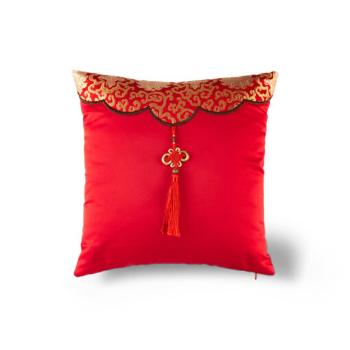 Cushion