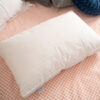 SSF PILLOW INSERT BPLAWH190902
