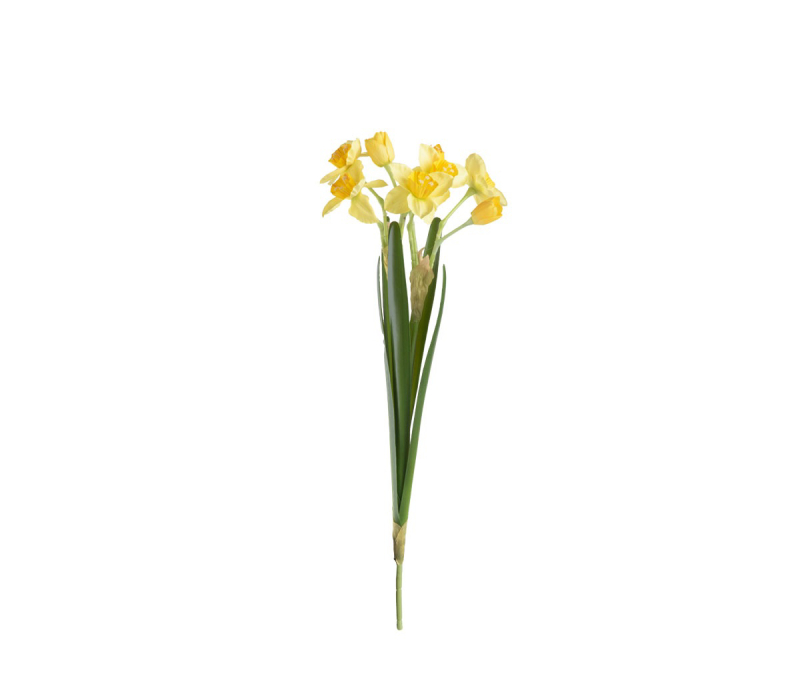 Narcissus Spray (55cm)
