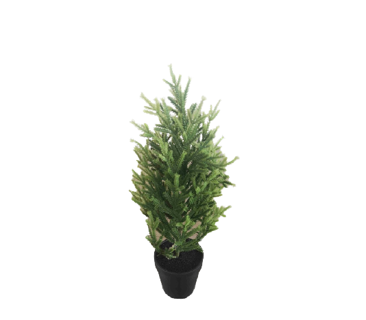 Potted Christmas Tree (40cm)