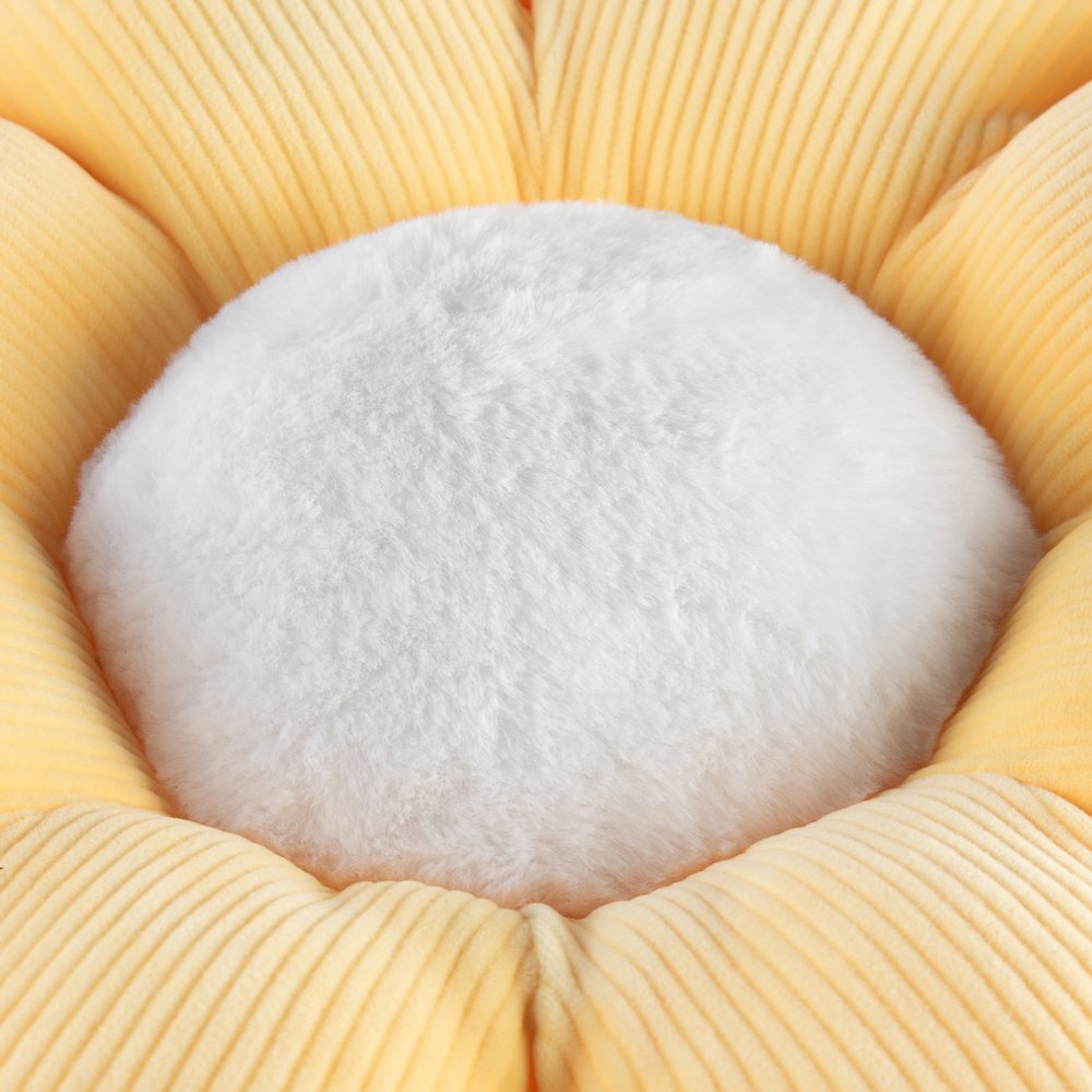 Jody Cushion - Image 4