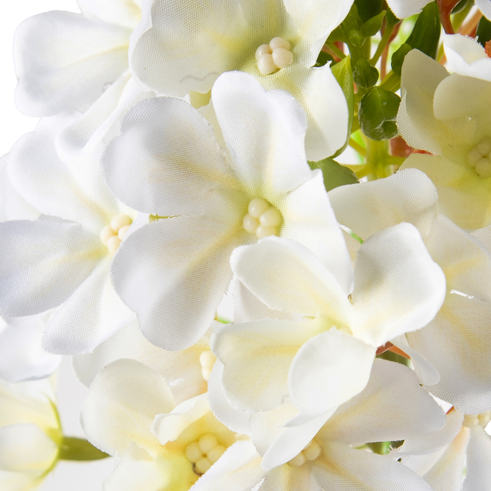 Philox Spray (H83cm) - Image 2