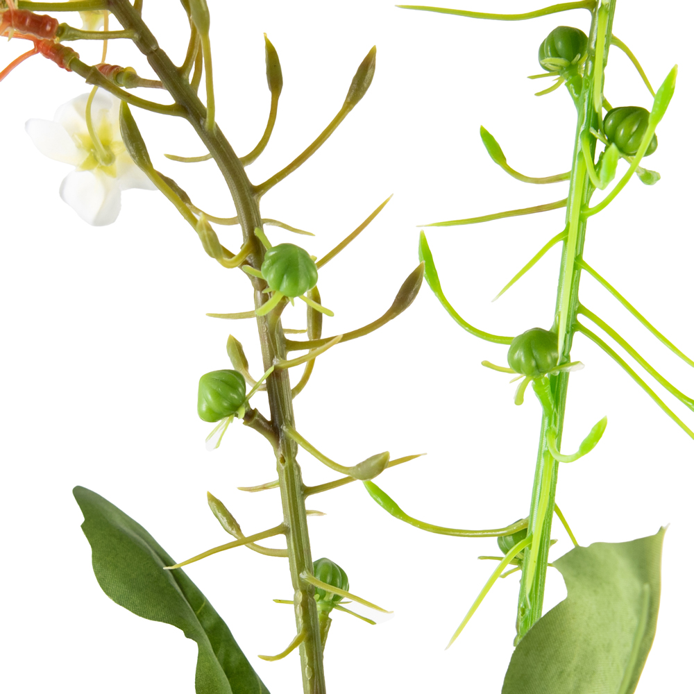 Philox Spray (H83cm) - Image 3