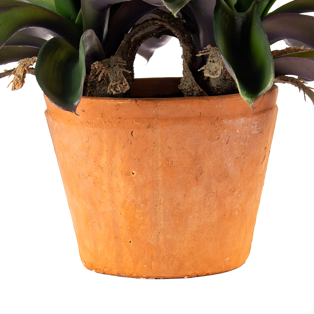 Potted Ananas (H43cm) - Image 10