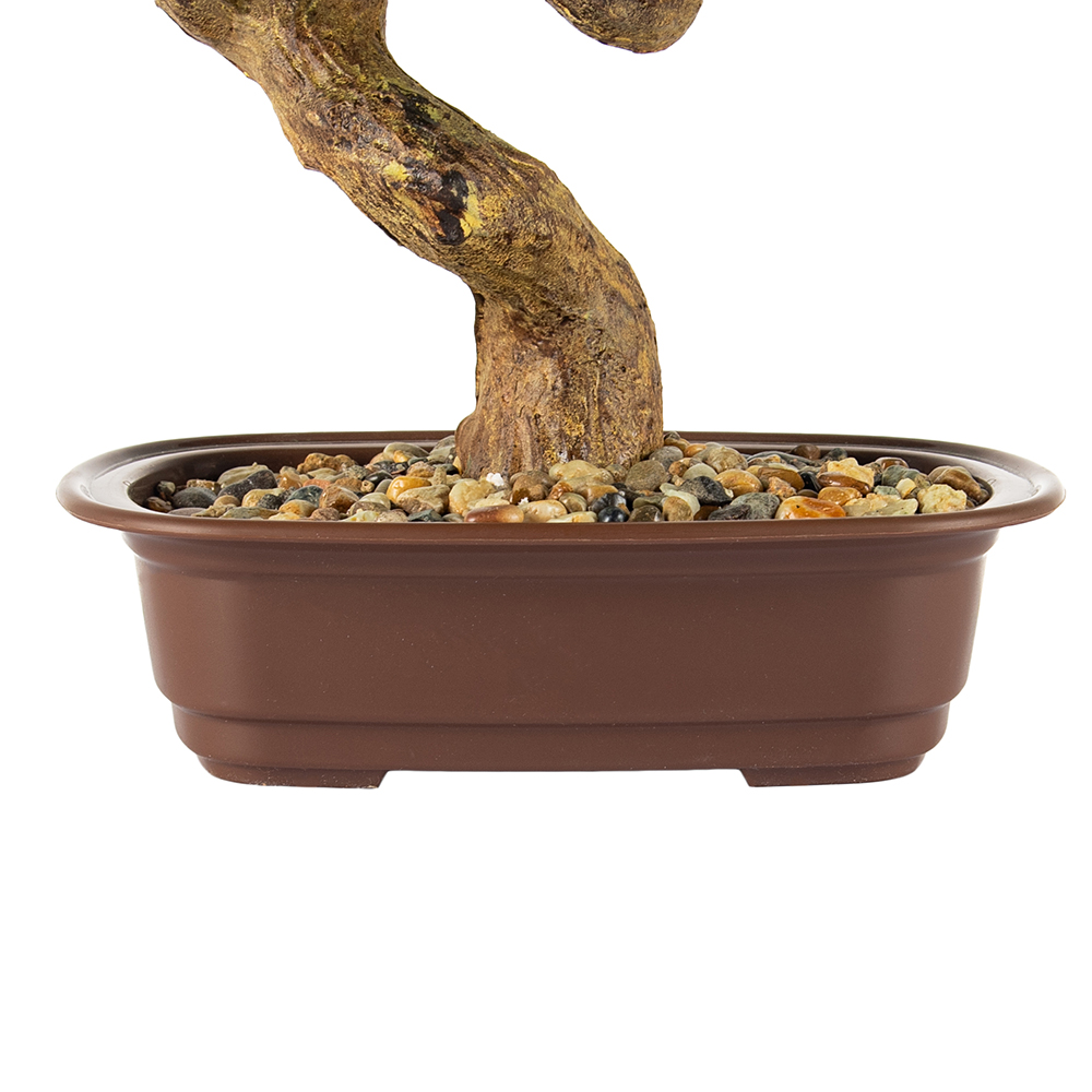 Potted Greeting Pine (H42cm) - Image 6