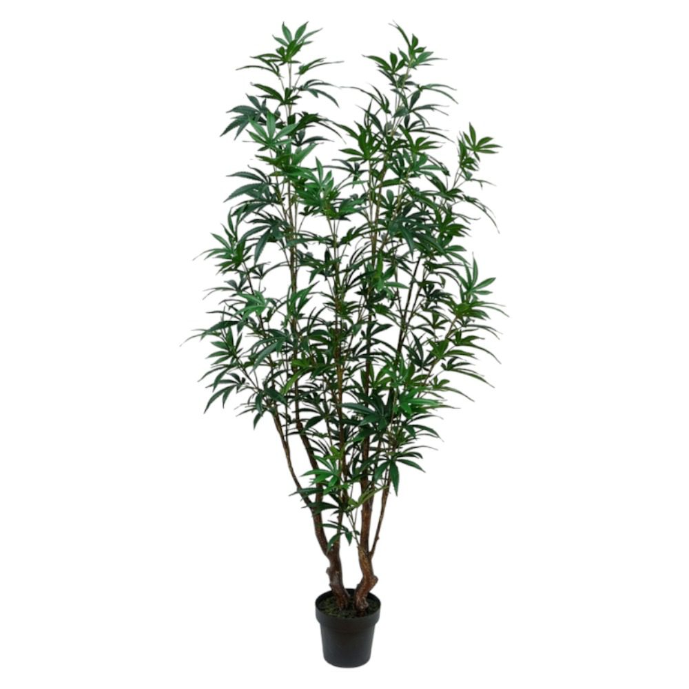 Potted Real Touch Araliaceae (H180cm)