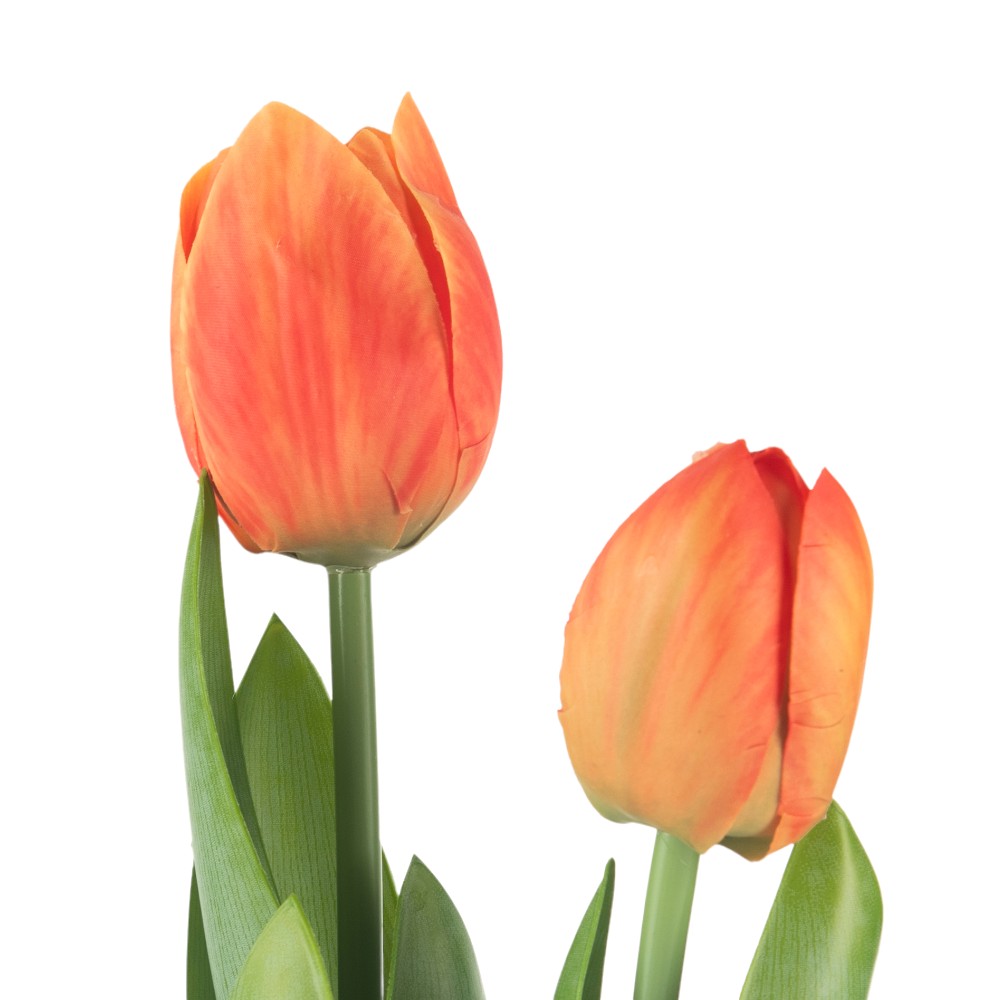Potted Tulip (H40cm) - Image 2