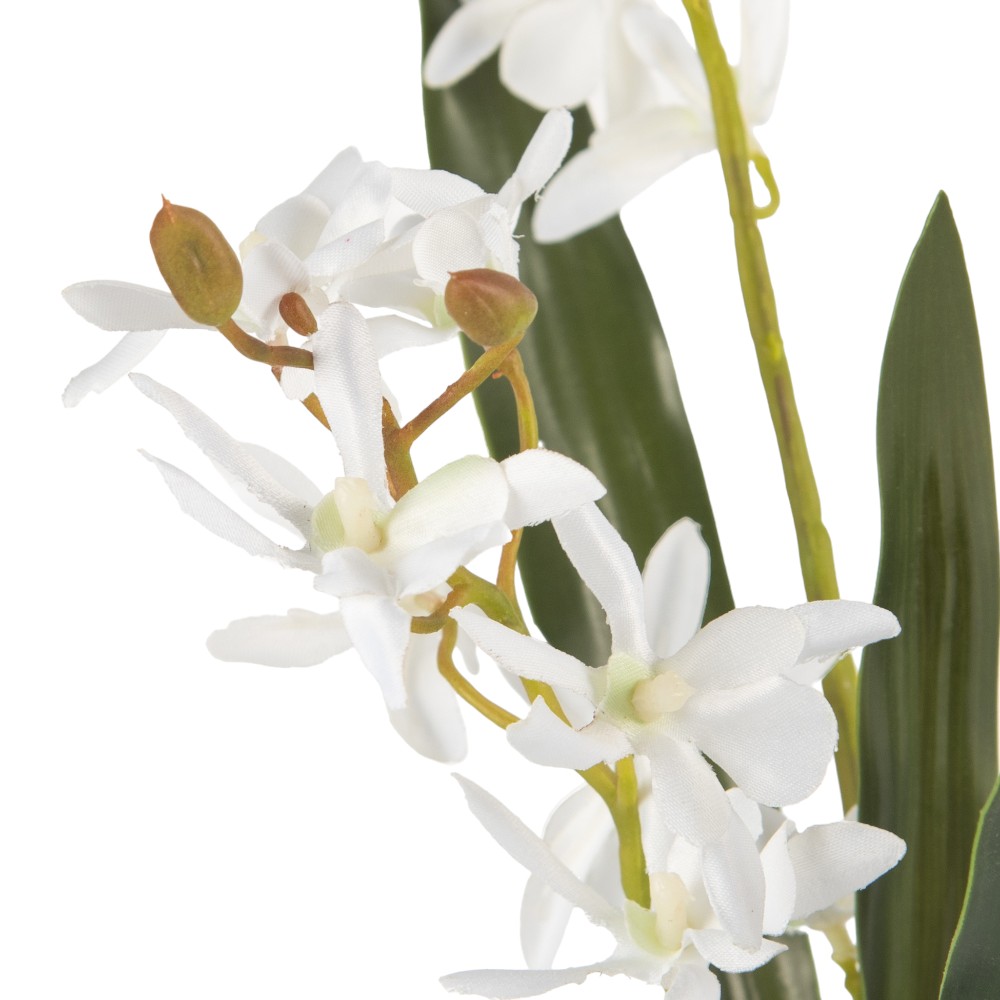 Glass Potted Orchid (H42cm) - Image 3