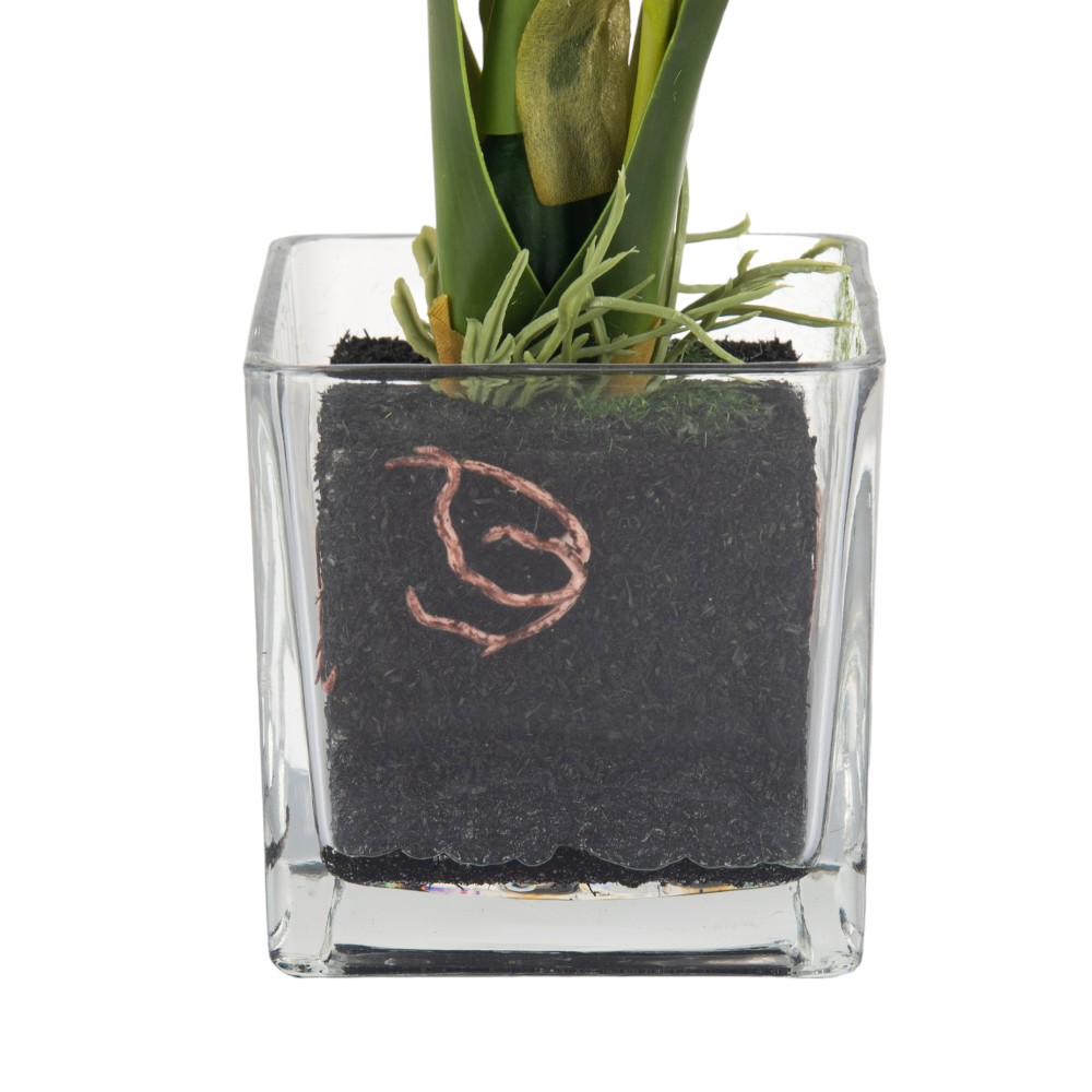 Glass Potted Orchid (H42cm) - Image 7