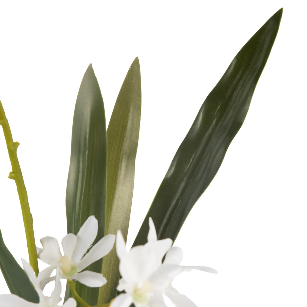 Glass Potted Orchid (H42cm) - Image 5
