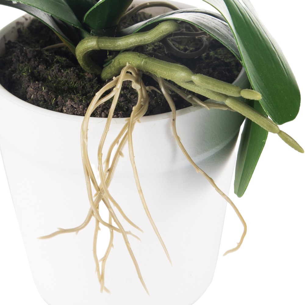 Potted Orchid (H28cm) - Image 6