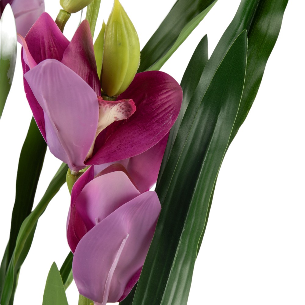 Potted Cymbidium (H75cm) - Image 12