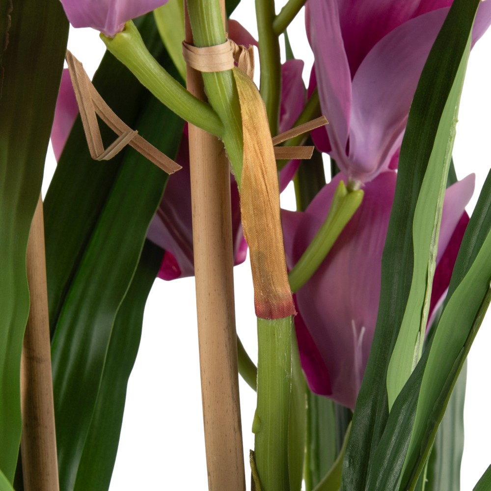 Potted Cymbidium (H75cm) - Image 13
