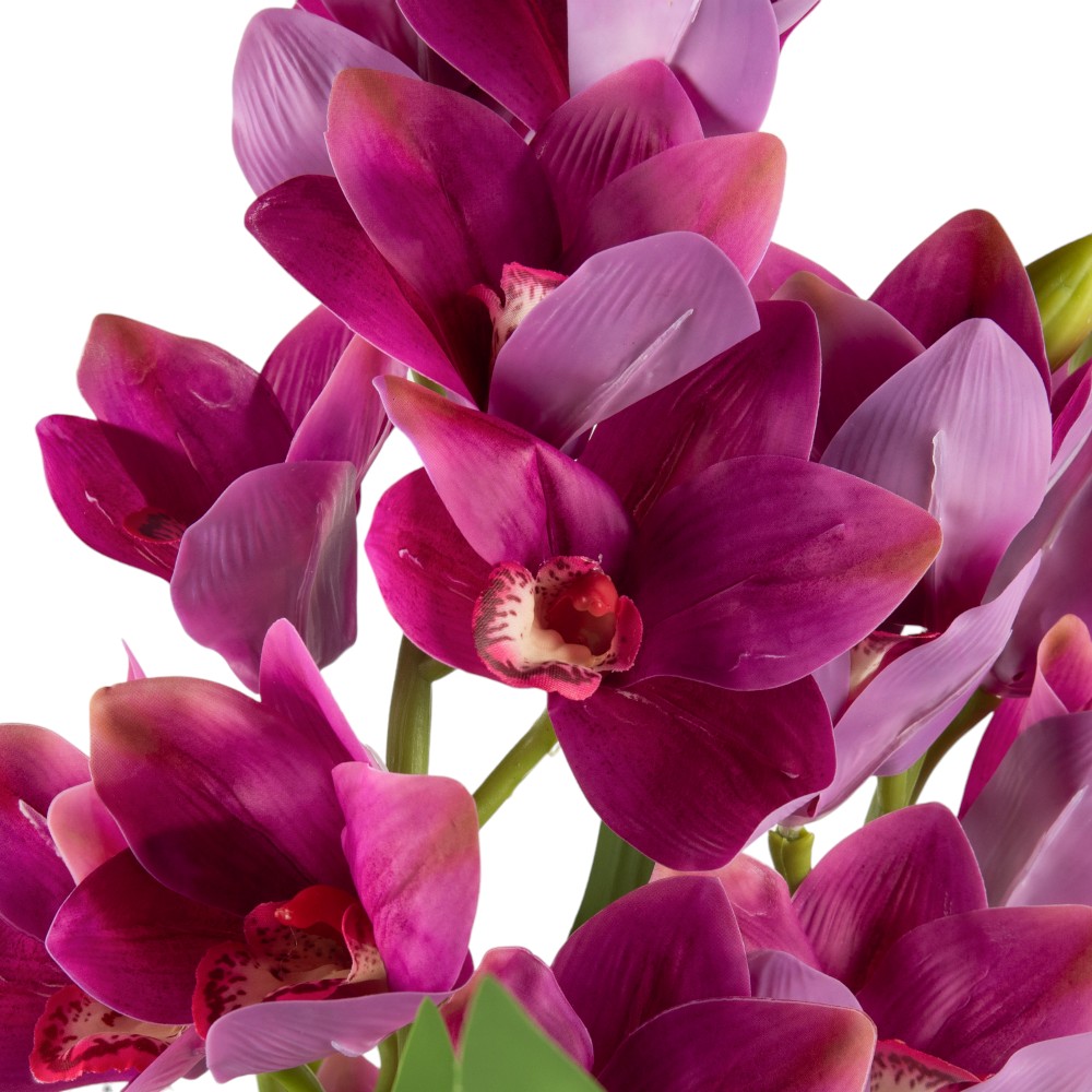 Potted Cymbidium (H75cm) - Image 11