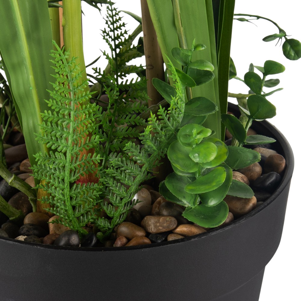 Potted Cymbidium (H75cm) - Image 14