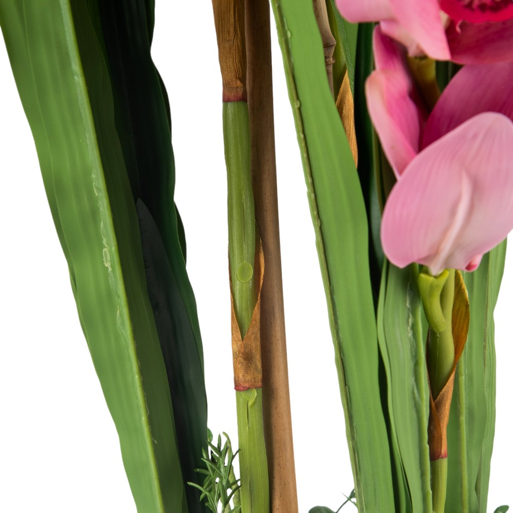 Potted Cymbidium (H75cm) - Image 10