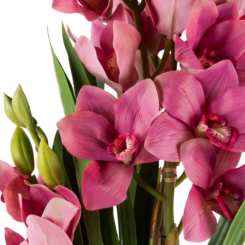 Potted Cymbidium (H75cm) - Image 8