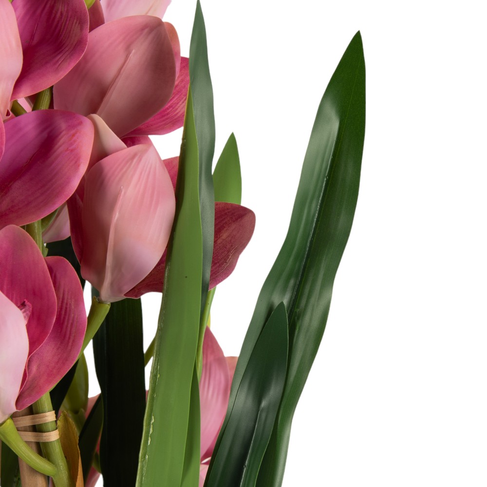 Potted Cymbidium (H75cm) - Image 9