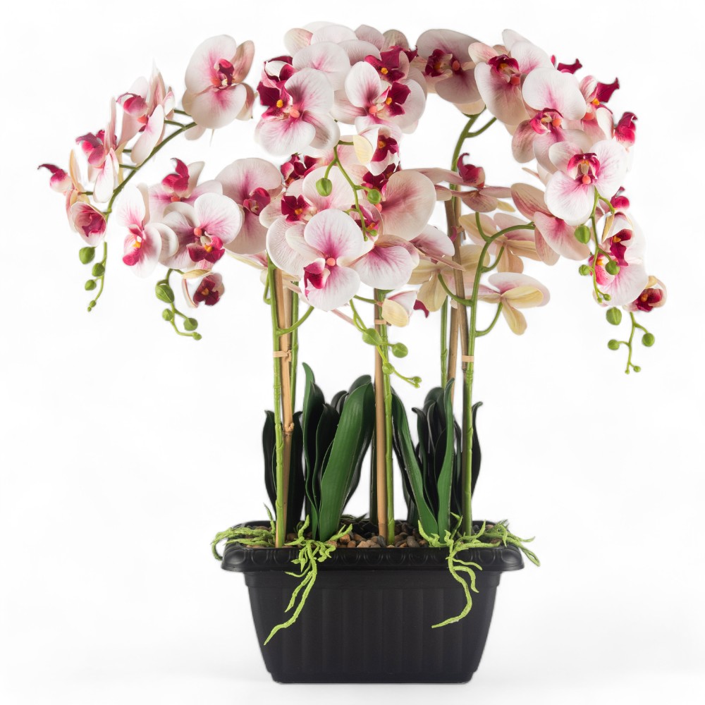 Potted Orchid (H97cm) - Image 2