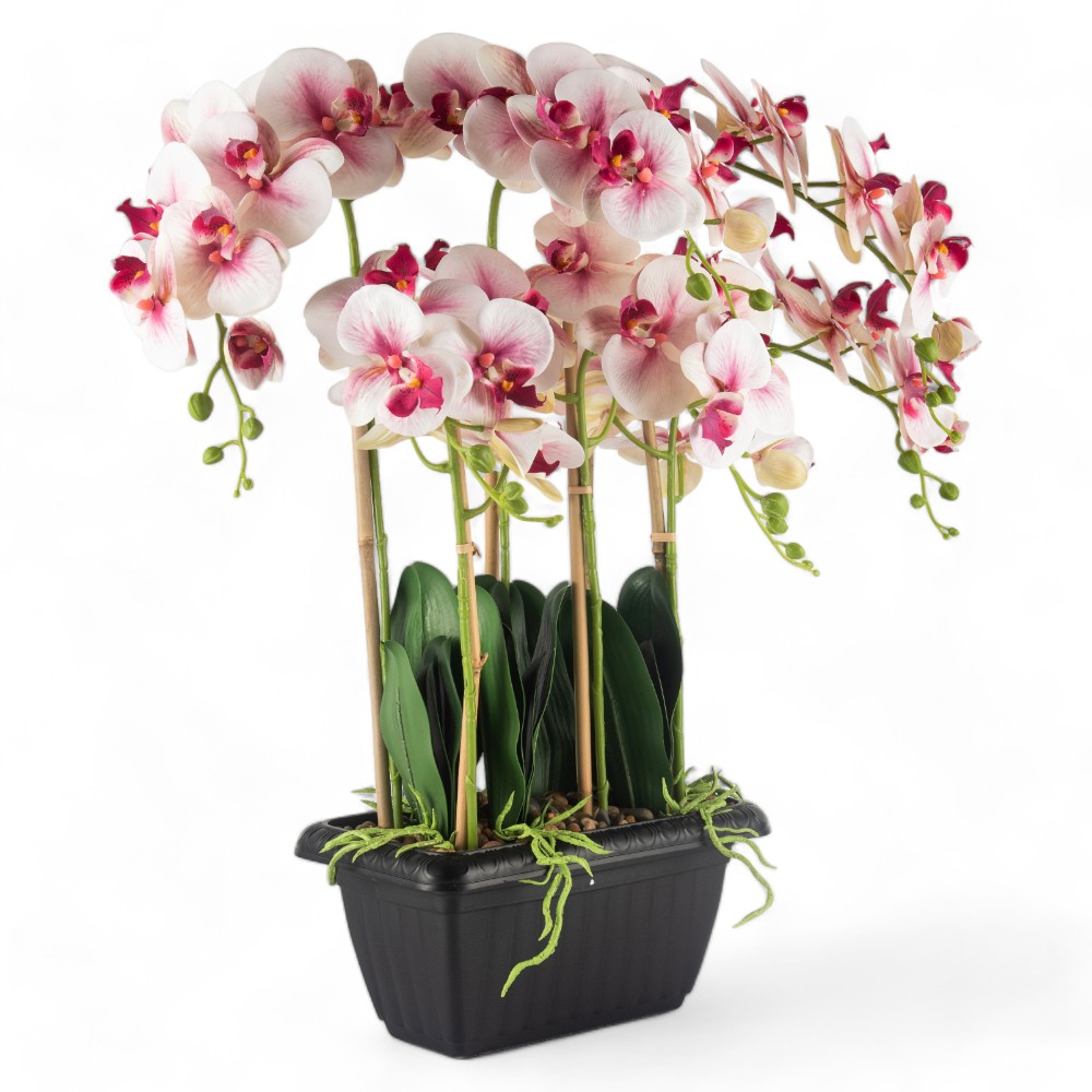 Potted Orchid (H97cm)