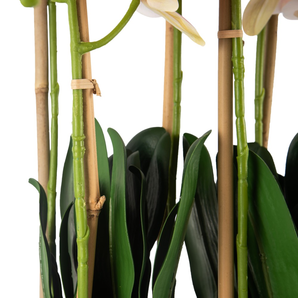 Potted Orchid (H97cm) - Image 6