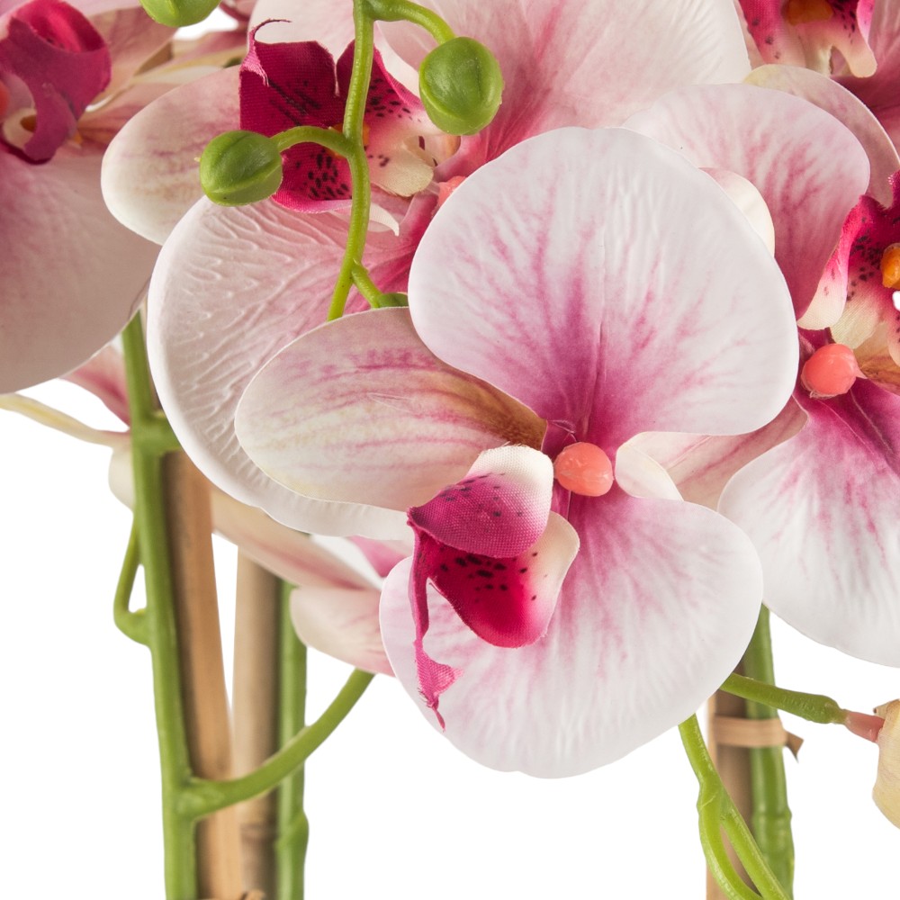Potted Orchid (H97cm) - Image 4