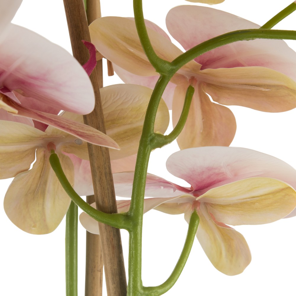 Potted Orchid (H97cm) - Image 5