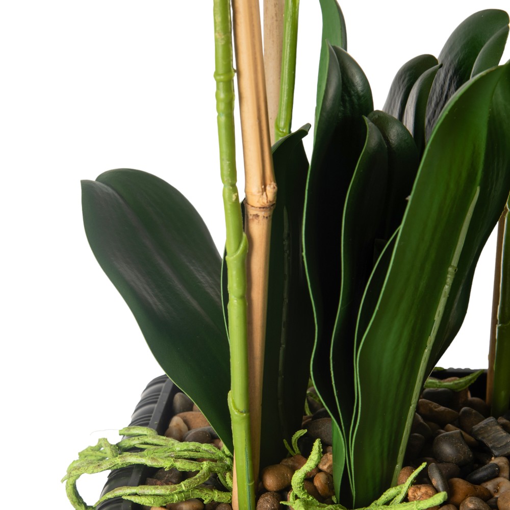 Potted Orchid (H97cm) - Image 7