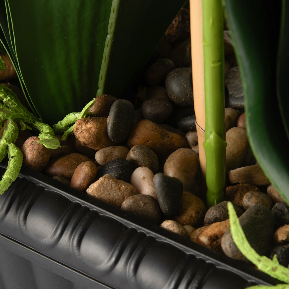 Potted Orchid (H97cm) - Image 8