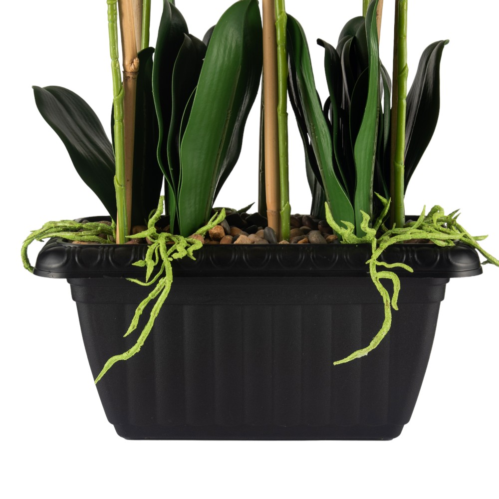 Potted Orchid (H97cm) - Image 9