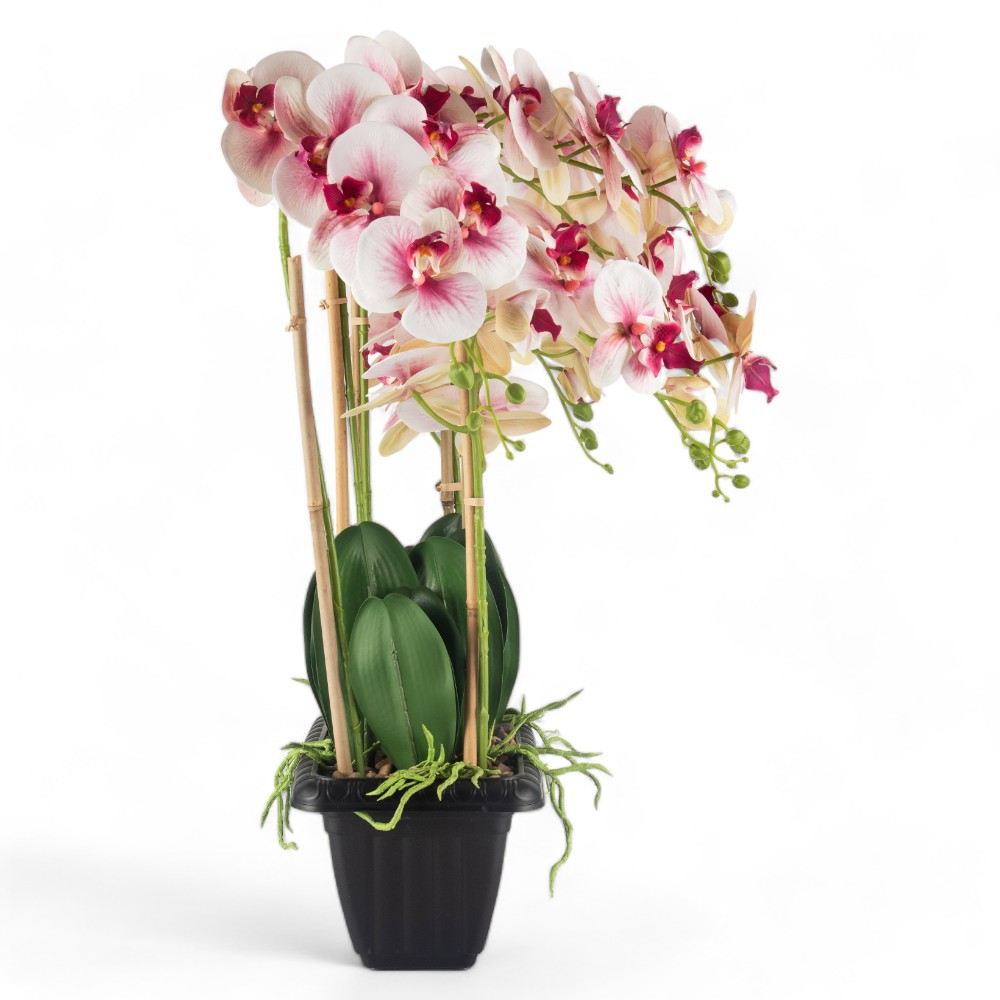 Potted Orchid (H97cm) - Image 3