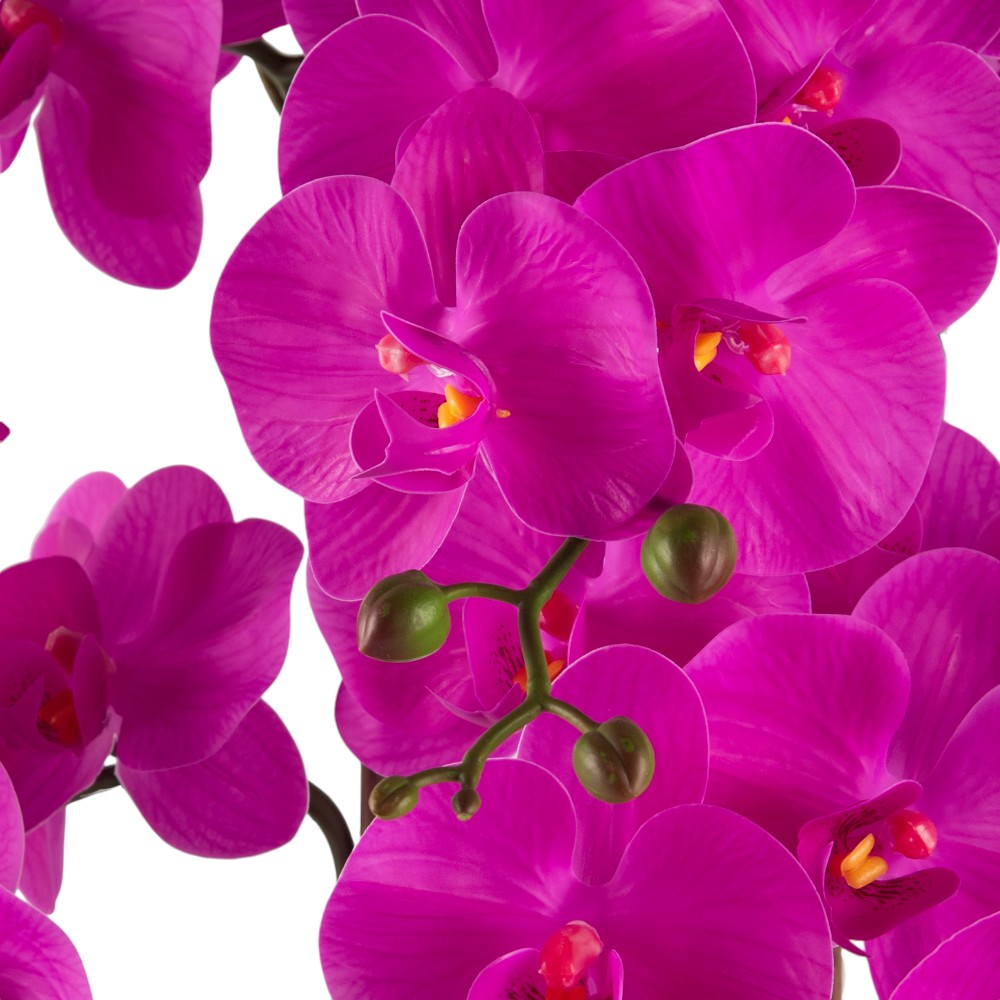 Potted Orchid (H76cm) - Image 9