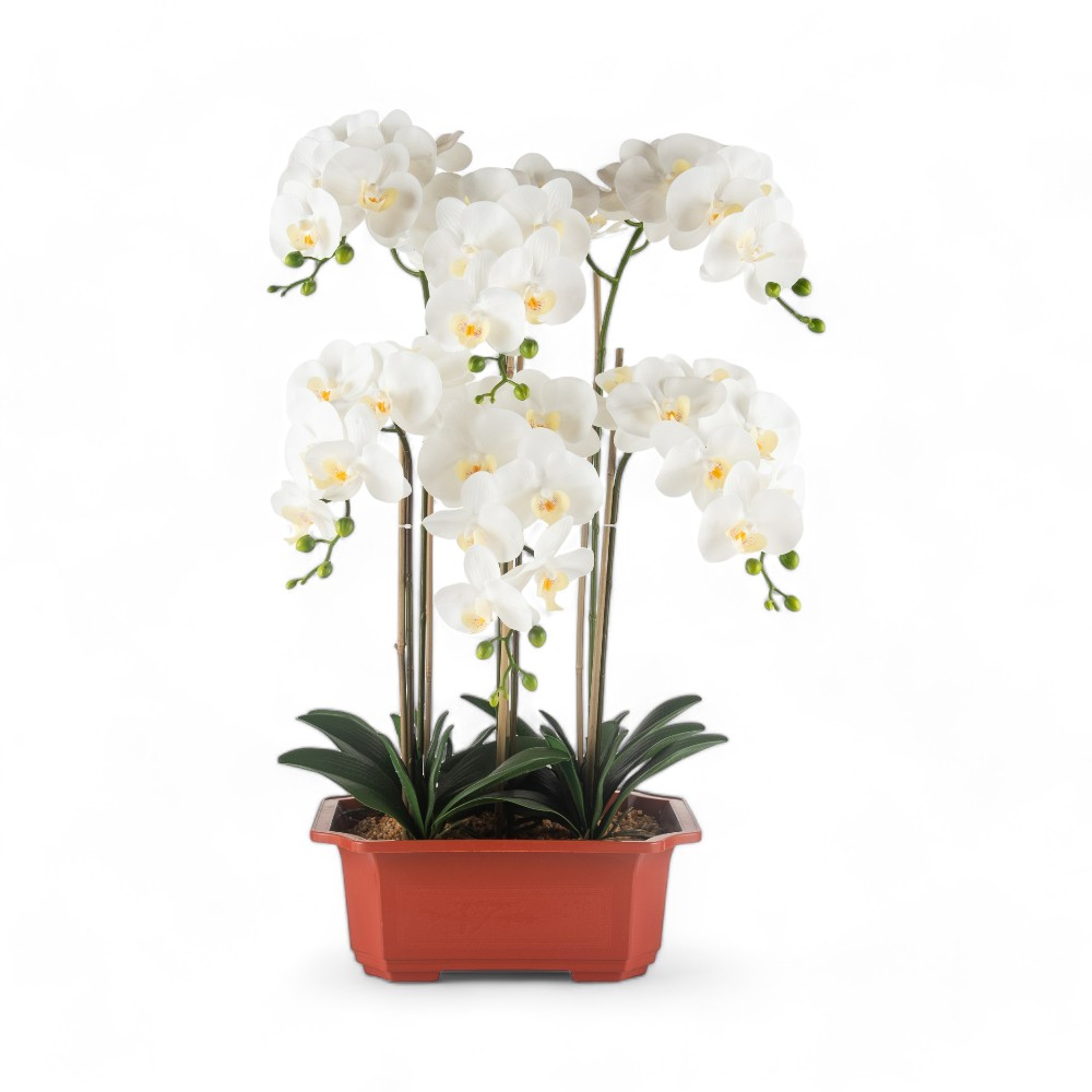 Potted Orchid (H76cm) - Image 2