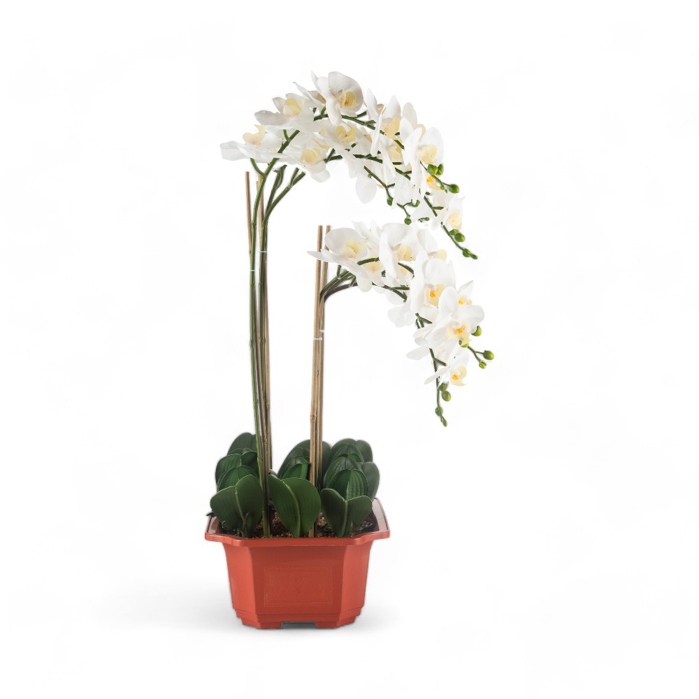 Potted Orchid (H76cm) - Image 3