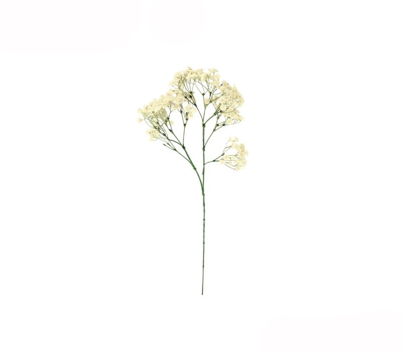 Baby Breath Spray (62cm)