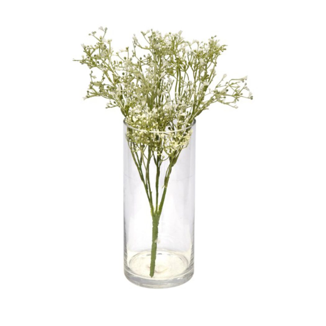 Gypsophila Bush (39cm)