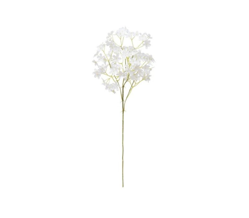 Gypsophila Spray (60cm)
