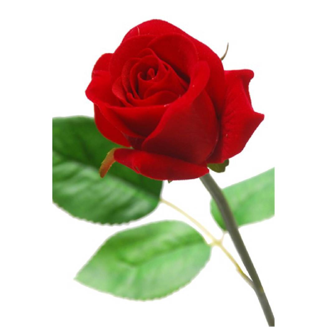 Velvet Rose Spray (45cm) - Image 2