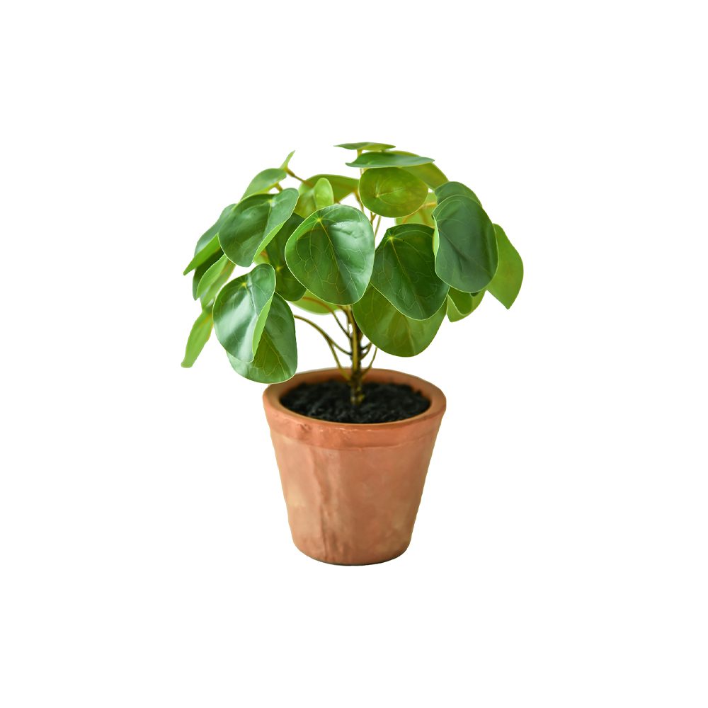 Atap Artificial Potted Pilea (23cm)