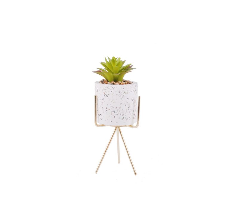 Vinnie Potted Plant with Decorative Stand (23cm)