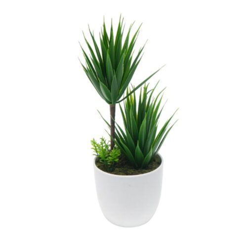 Rosanna Potted Plant (28cm)