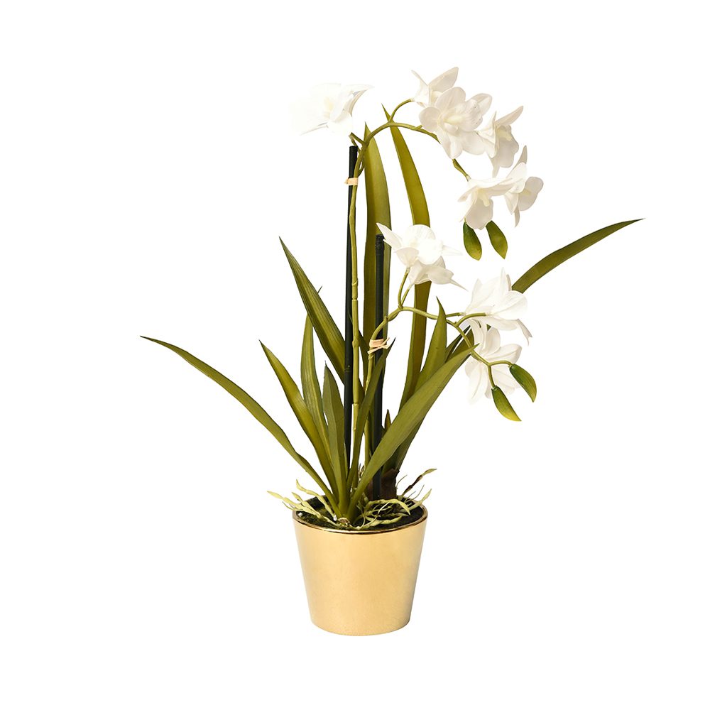 Real Touch Potted Cymbidium (51cm) - Image 2
