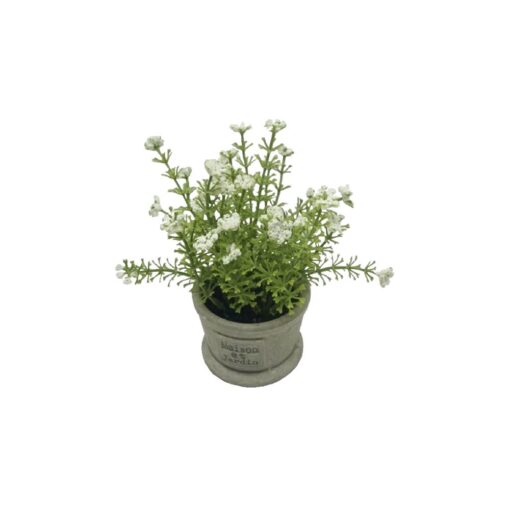 Lavender with Pot (18cm)