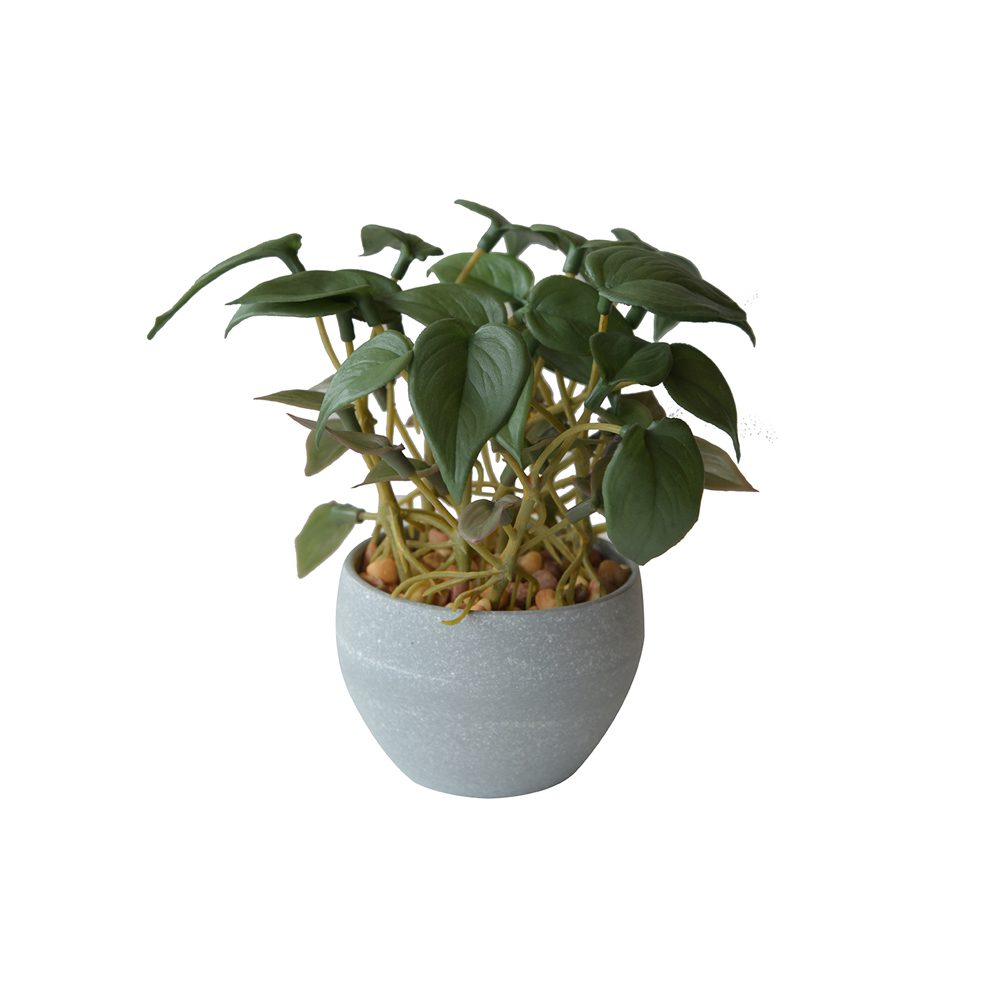 Nathan Potted Plant (16cm)