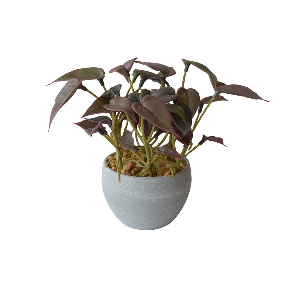 Nathan Potted Plant (16cm) - Image 2