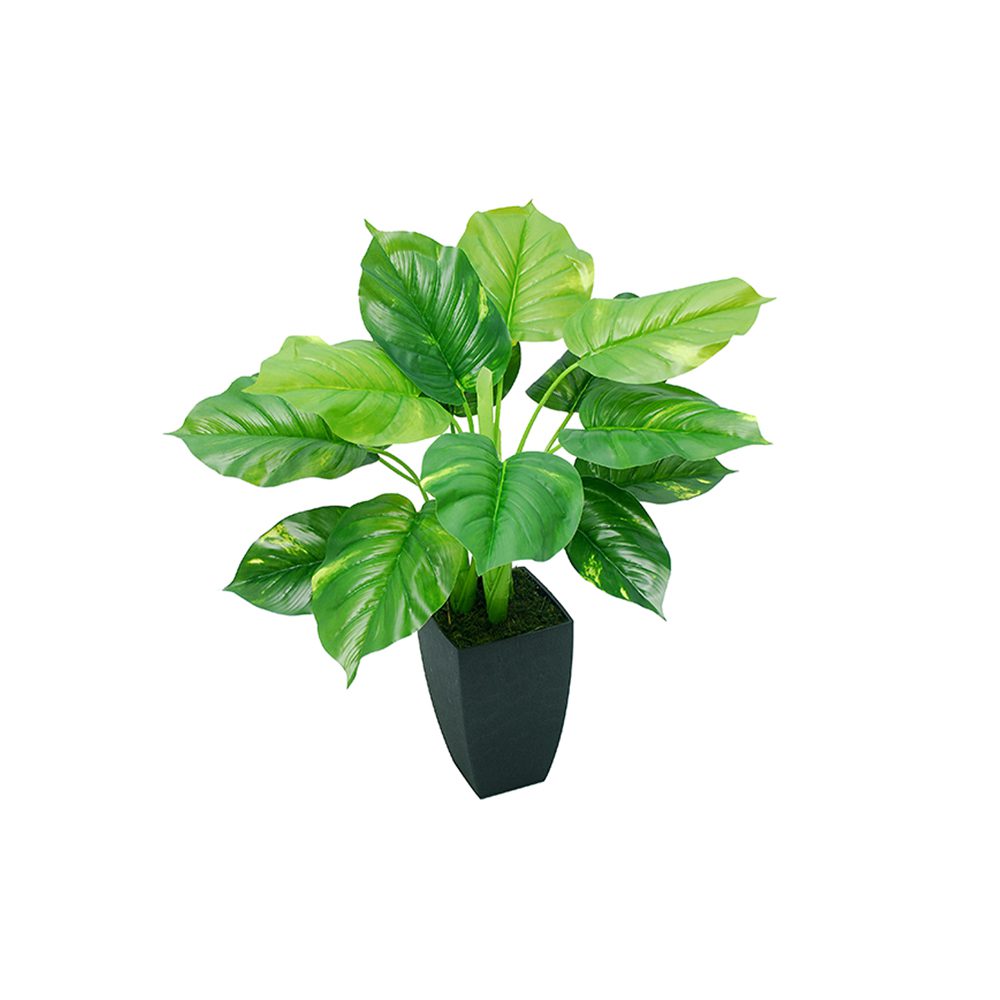 Fifi Potted Plant (70cm)