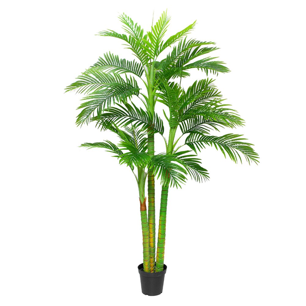 Seri Potted Palm Tree (100cm, 210cm)
