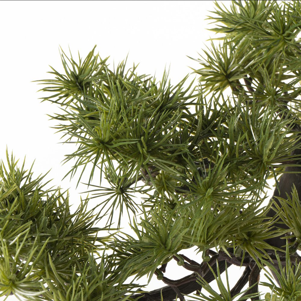 Fer Guest Greeting Pine (38cm) - Image 2