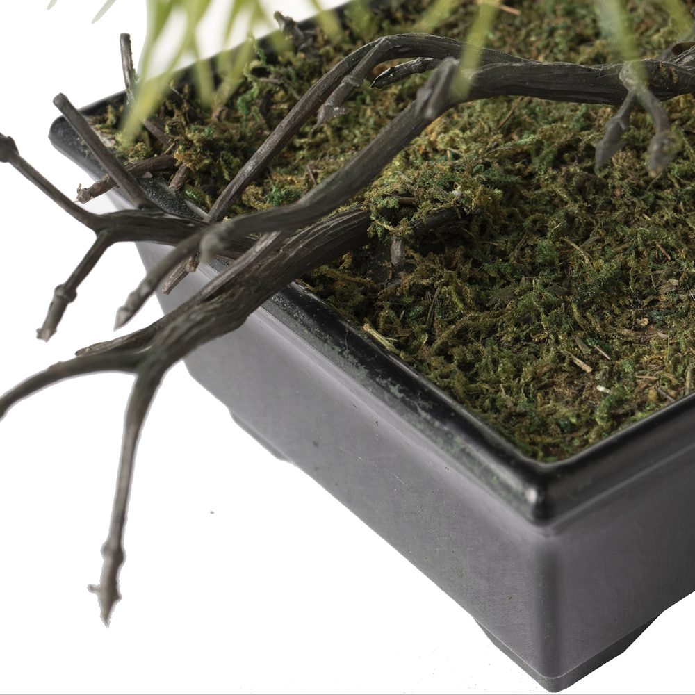 Fer Guest Greeting Pine (38cm) - Image 6